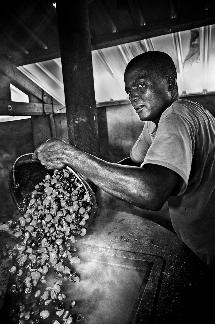 Palm oil production in the Central African Republic