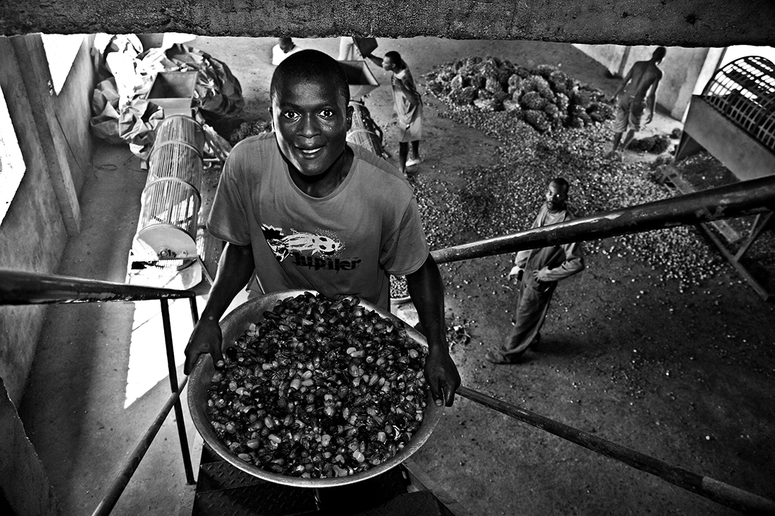 Palm oil production in the Central African Republic