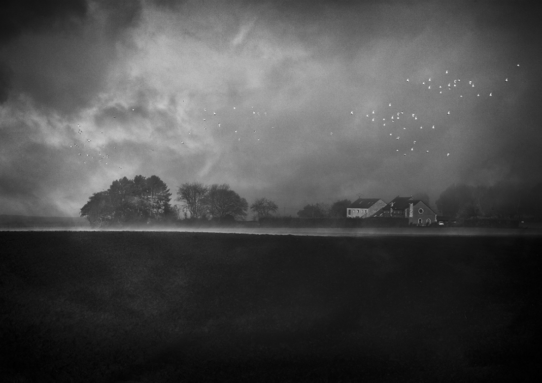 Foggy Flemish Landscape