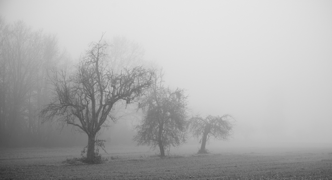 Dreary winter in Lockdown 2020