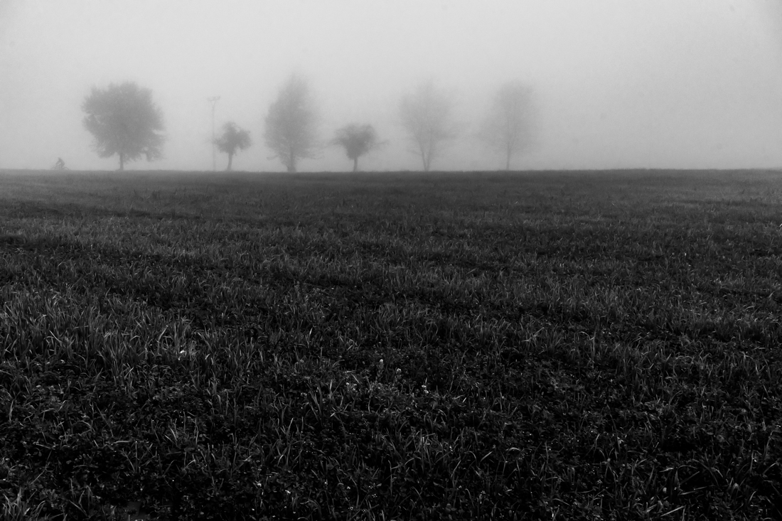 Foggy day