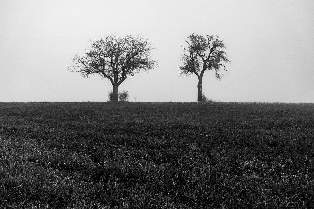 Foggy day