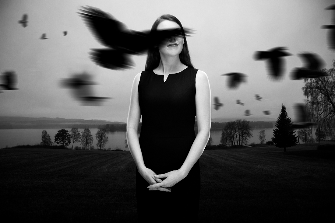 The Birds