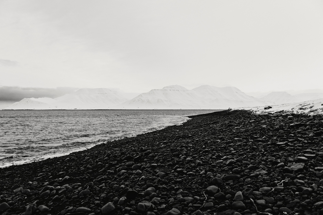 The sound of the ocean