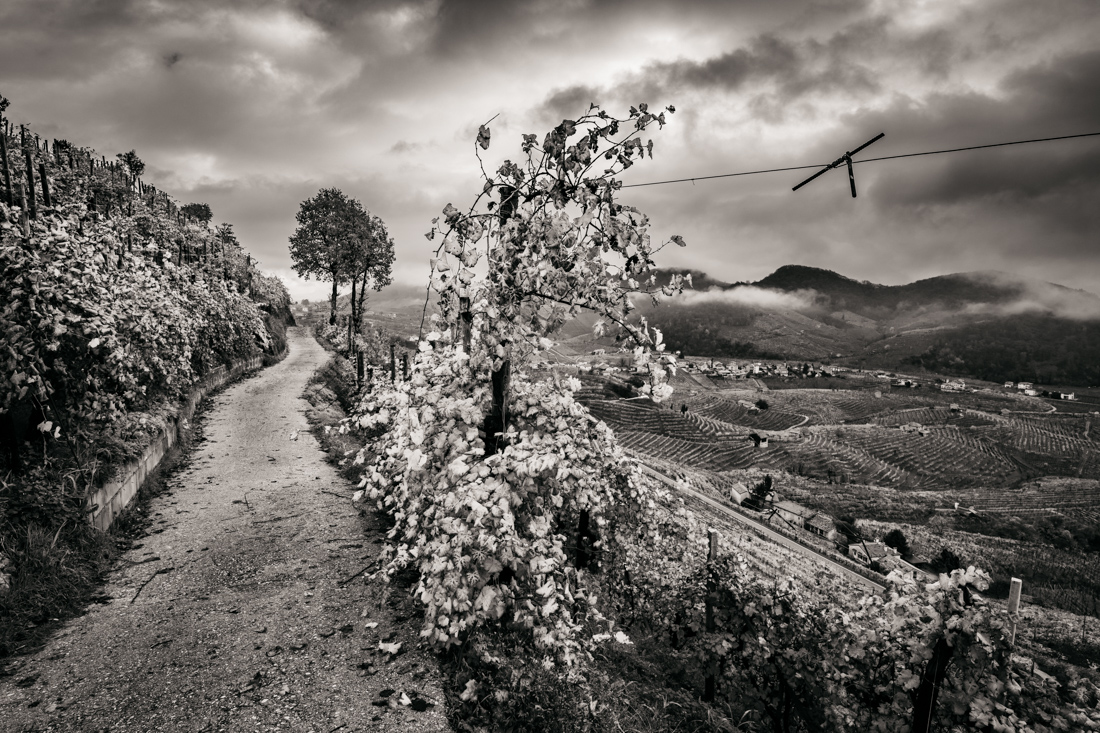 The Prosecco Hills of Conegliano and Valdobbiadene