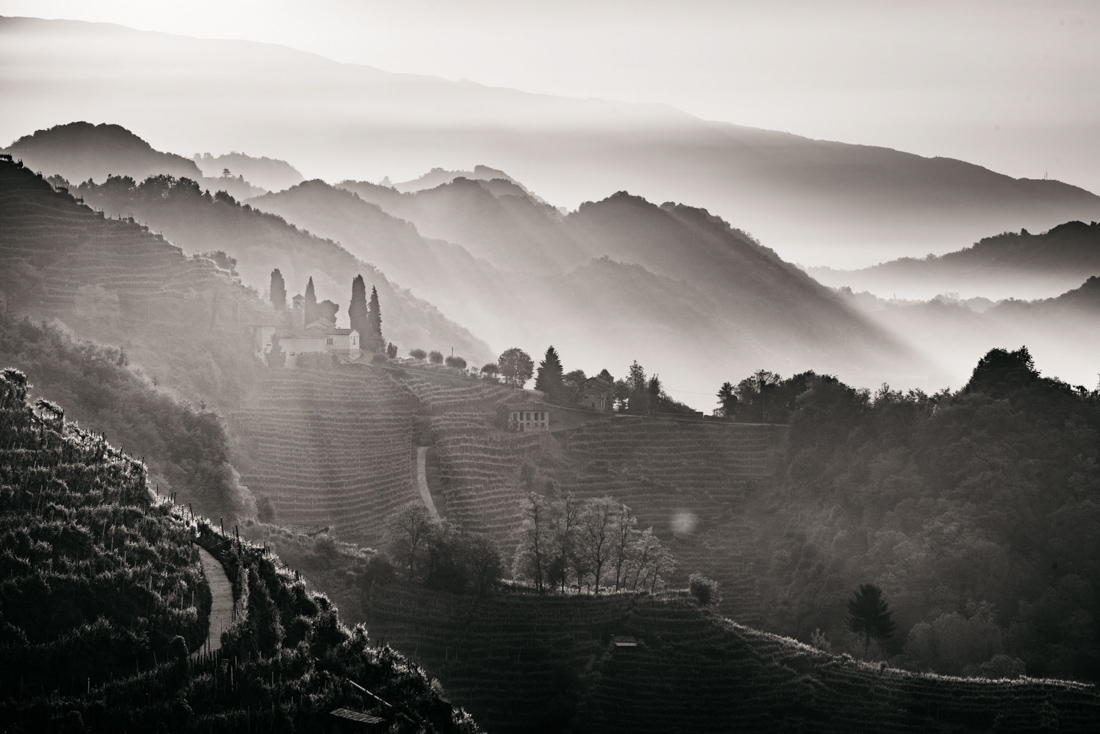 The Prosecco Hills of Conegliano and Valdobbiadene