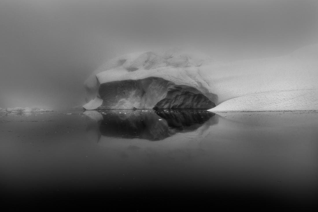 Icebergs in the fog