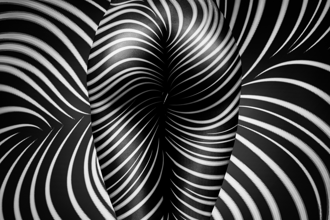 zebra nude art