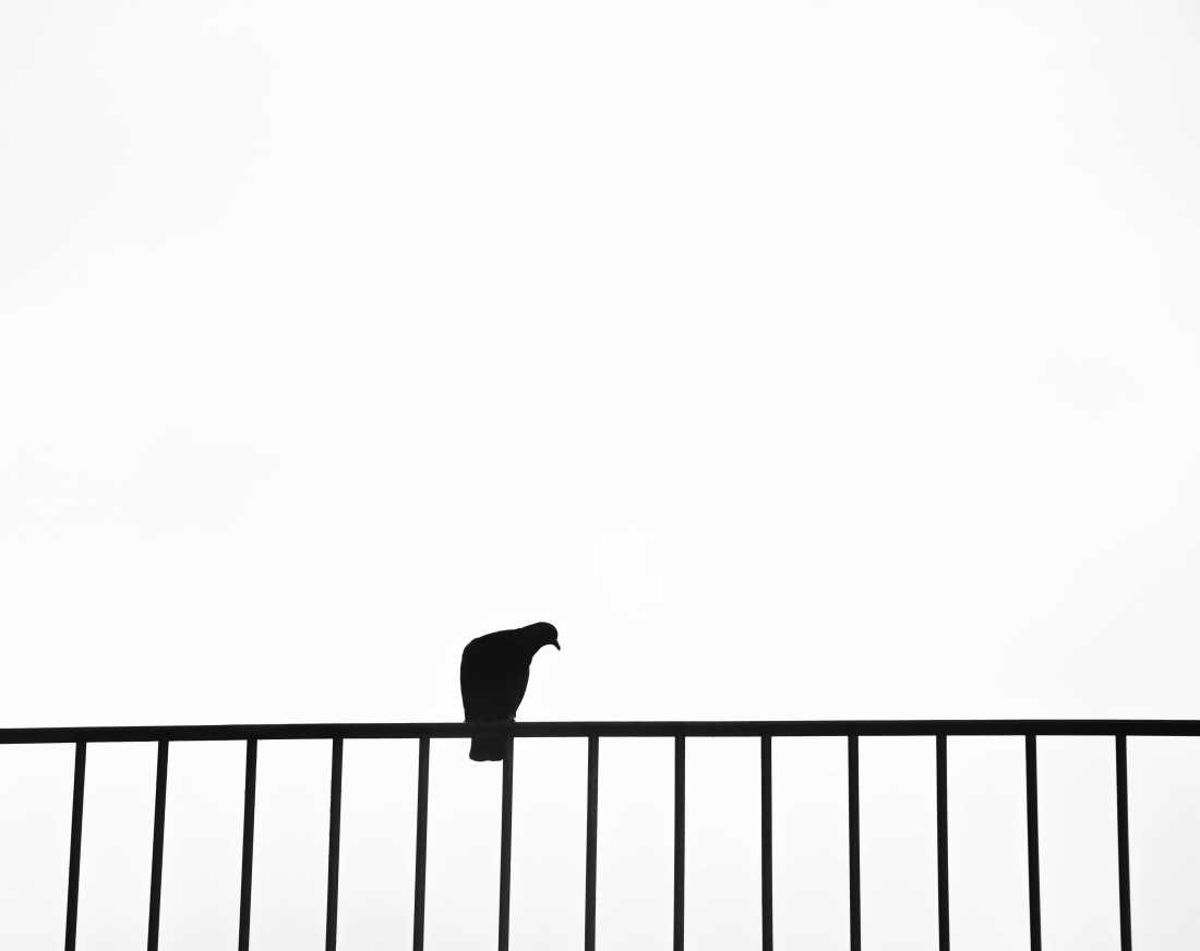 Details of Something