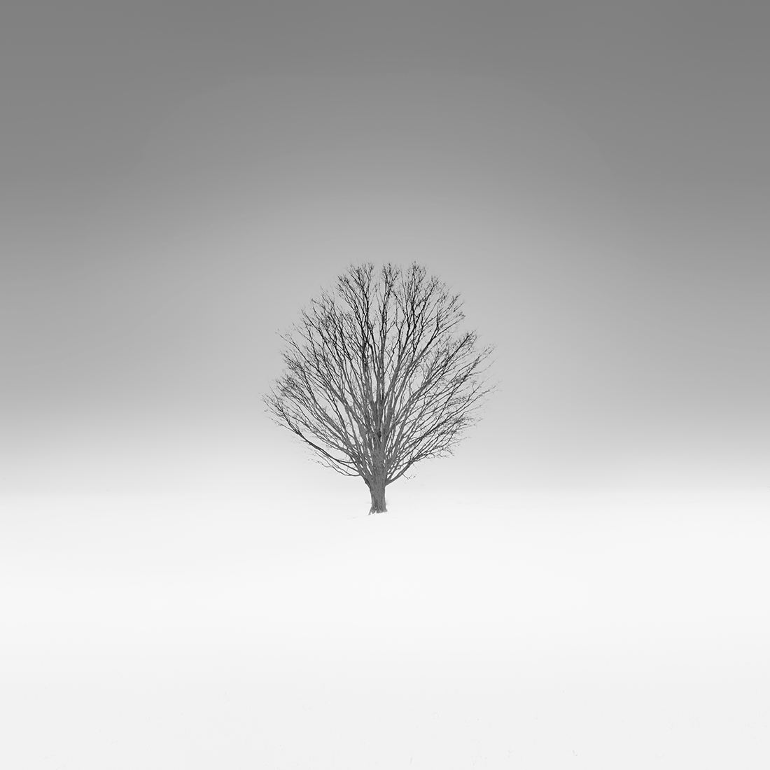 Winter Solitude