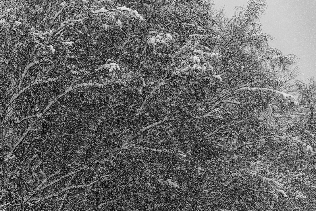 Textures 