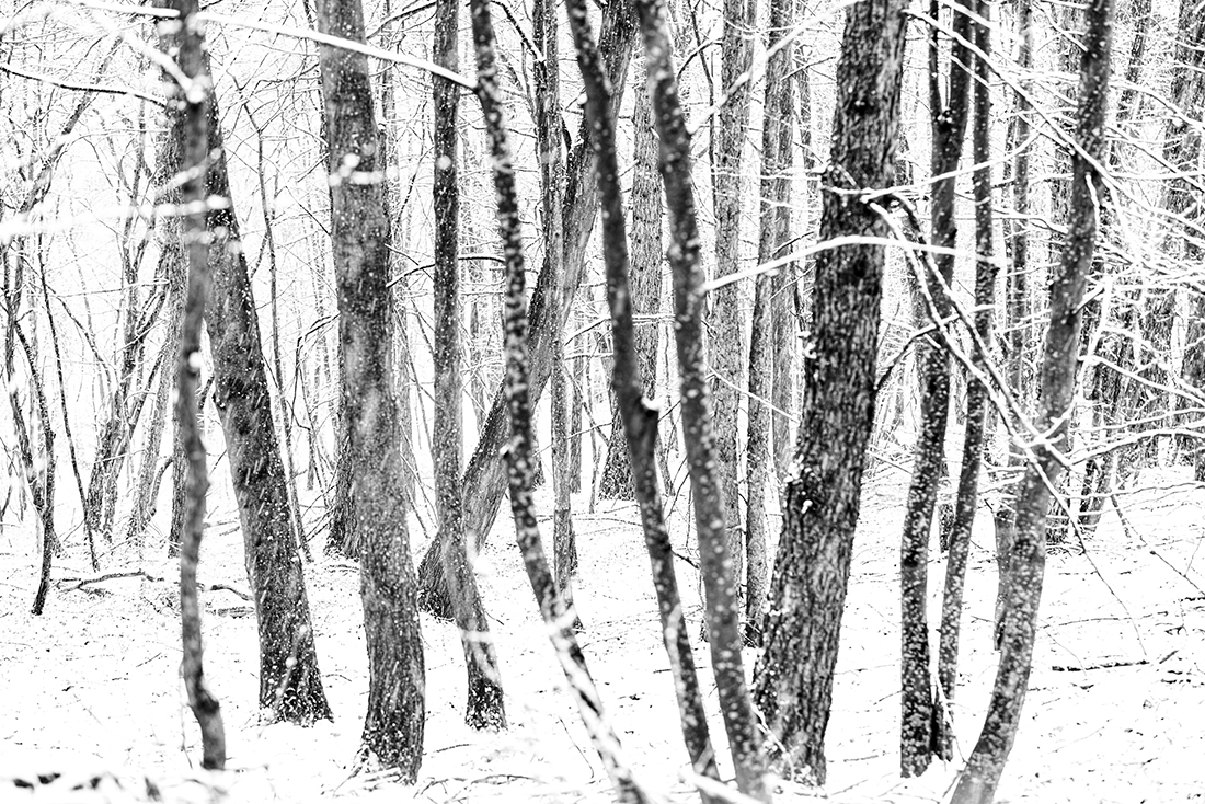 Textures 