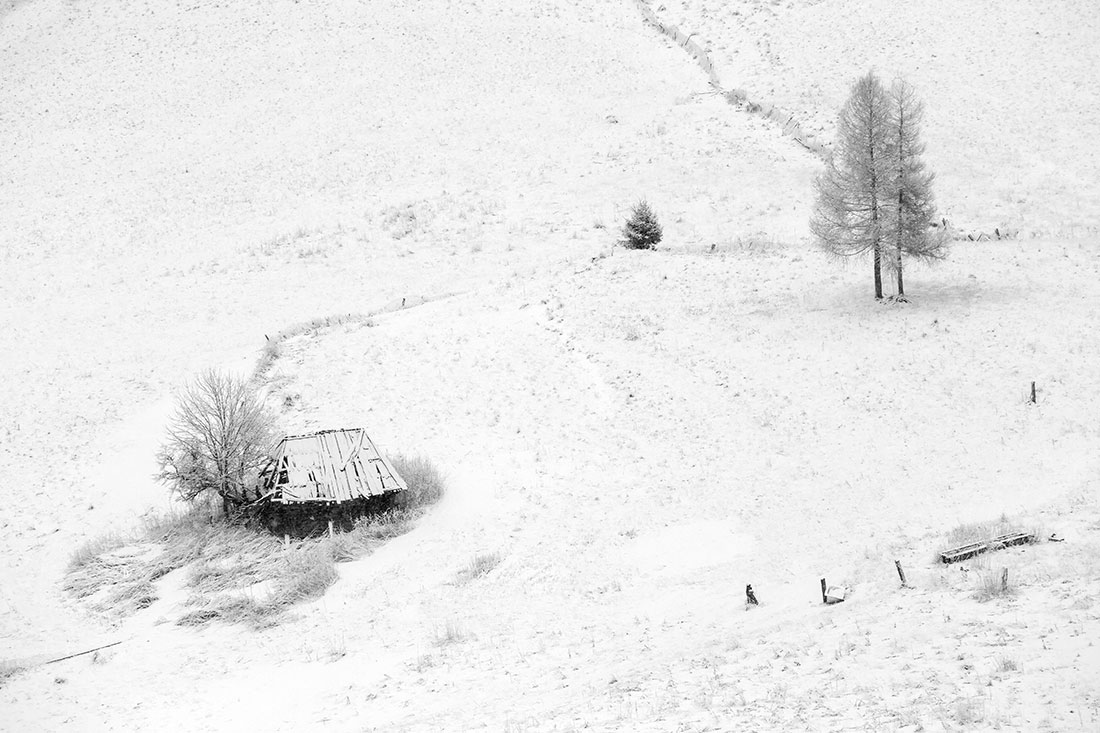 Carpathians Mountains 