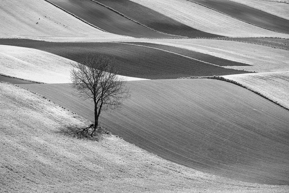 Field 