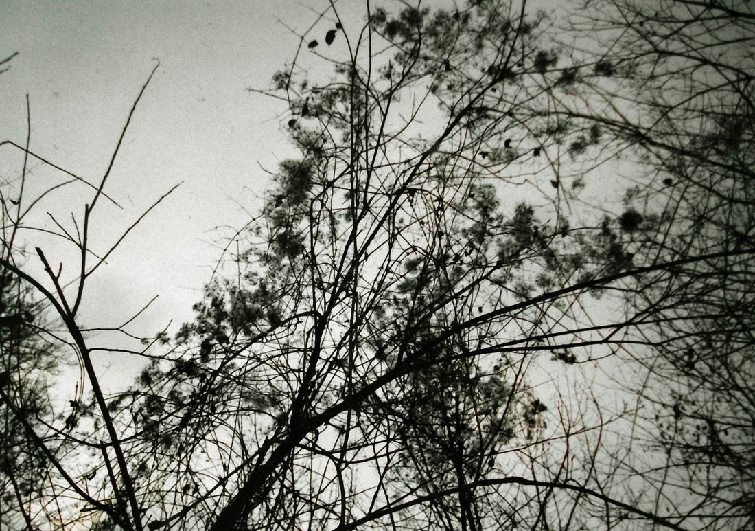 post mortem