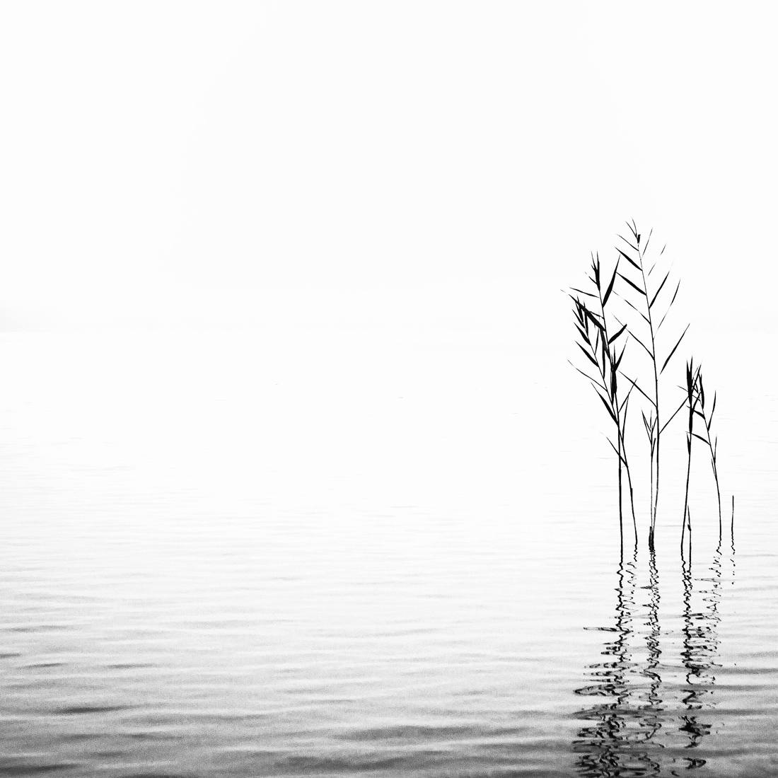 silence