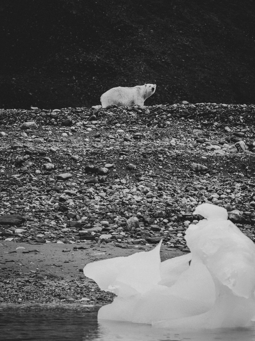 Last bastion of wildlife