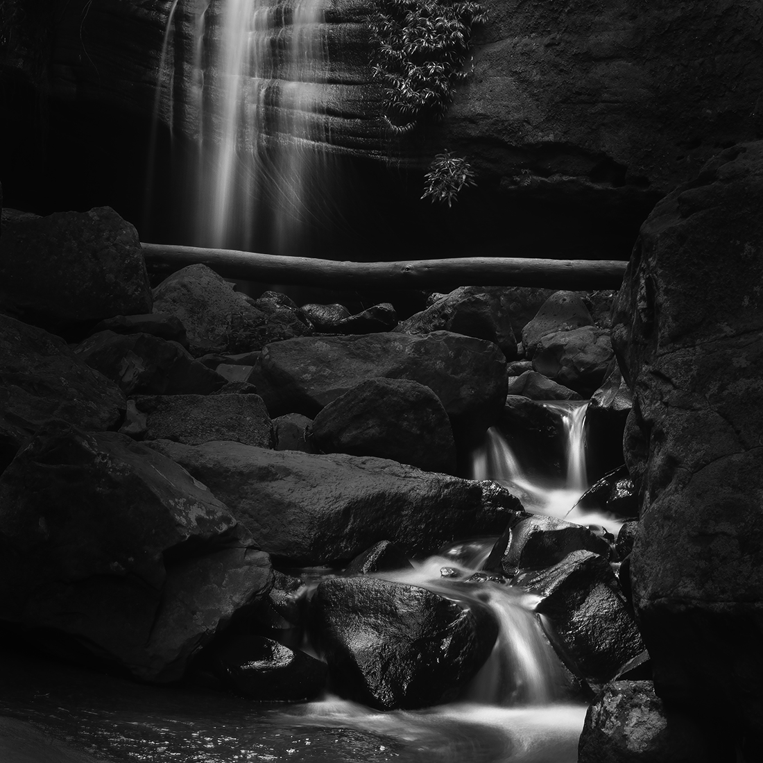 Serenity