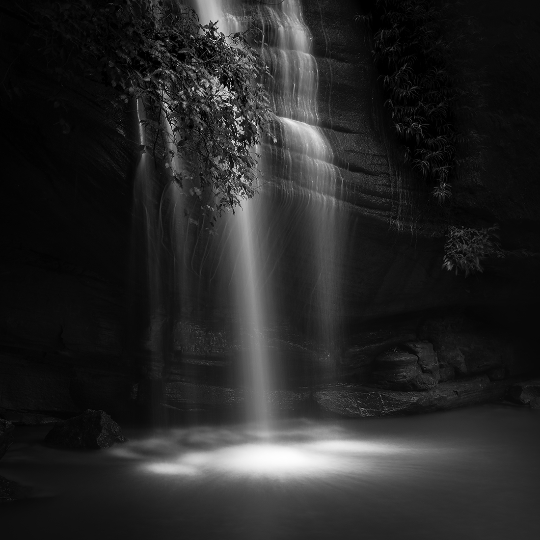 Serenity