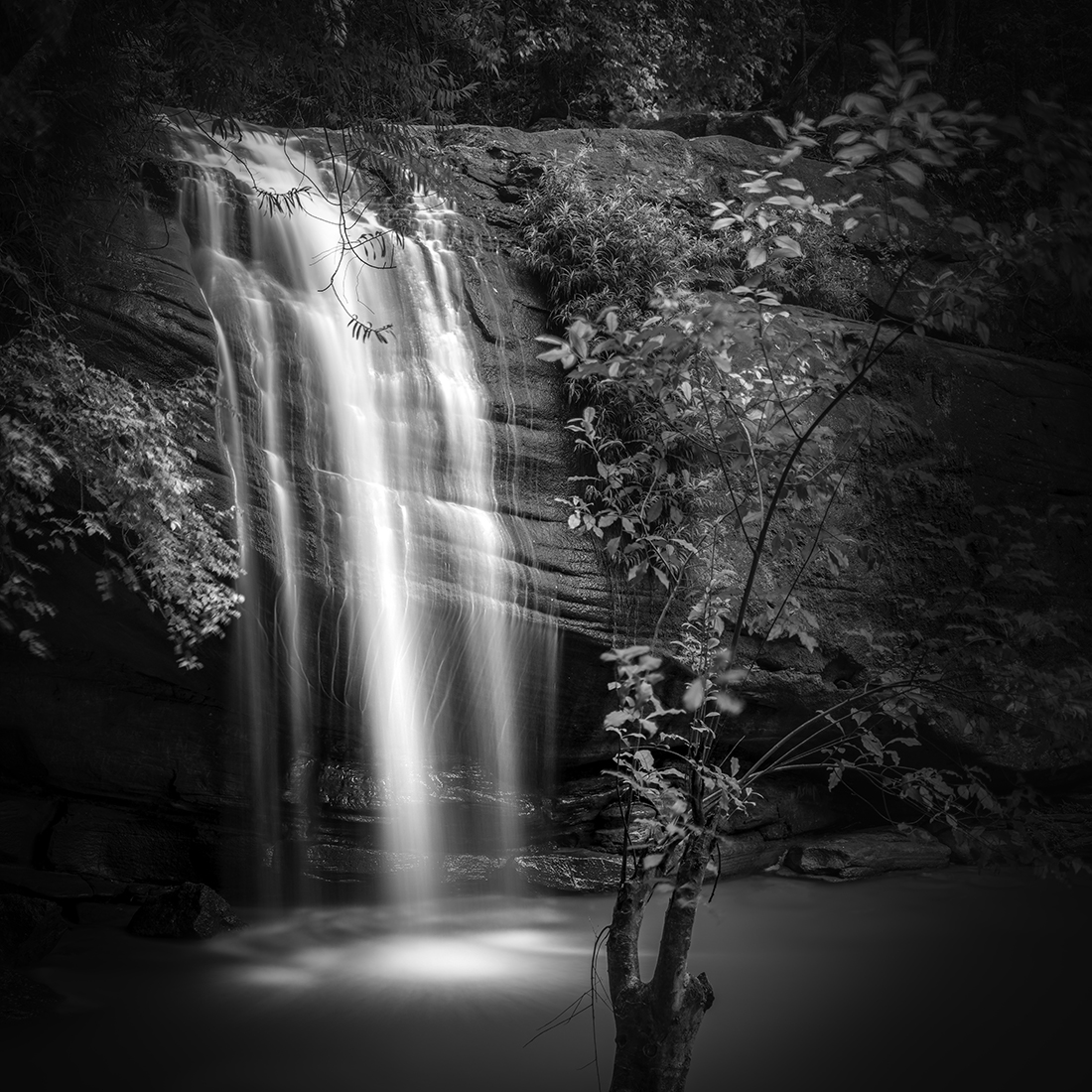 Serenity