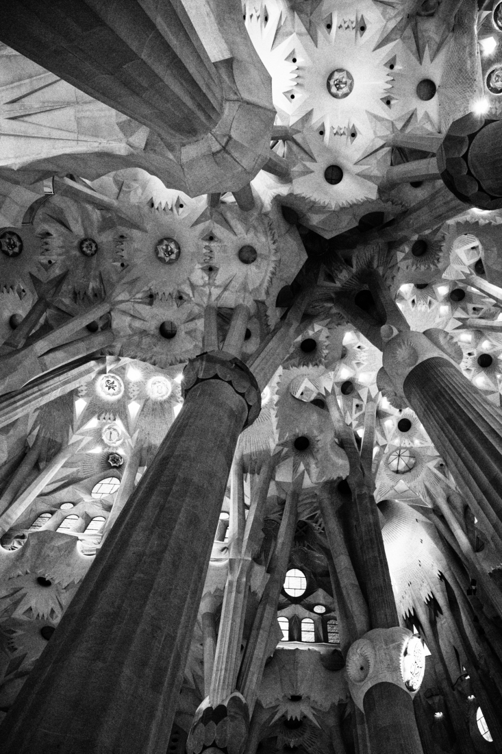 Holy Ceilings
