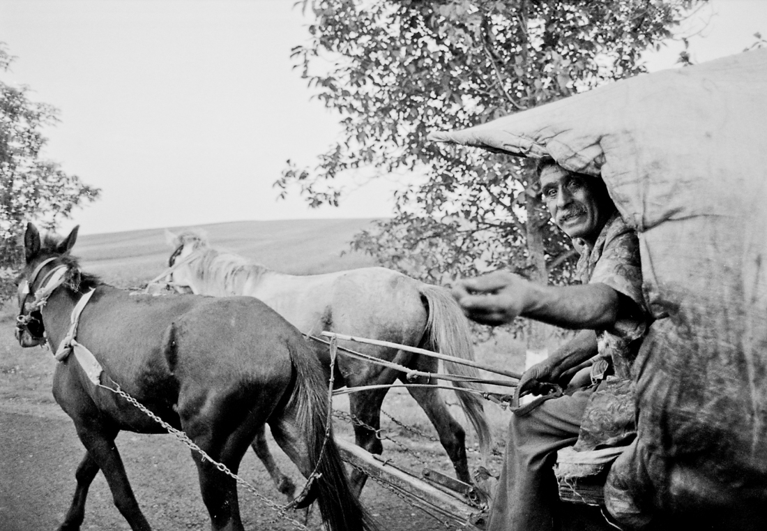 Home is Elsewhere -- A budding nomad with the Roma of Eastern Europe.