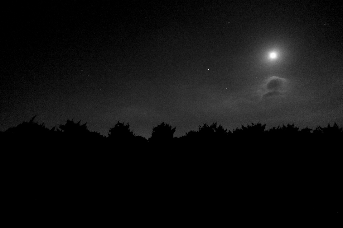 countryside in dim light