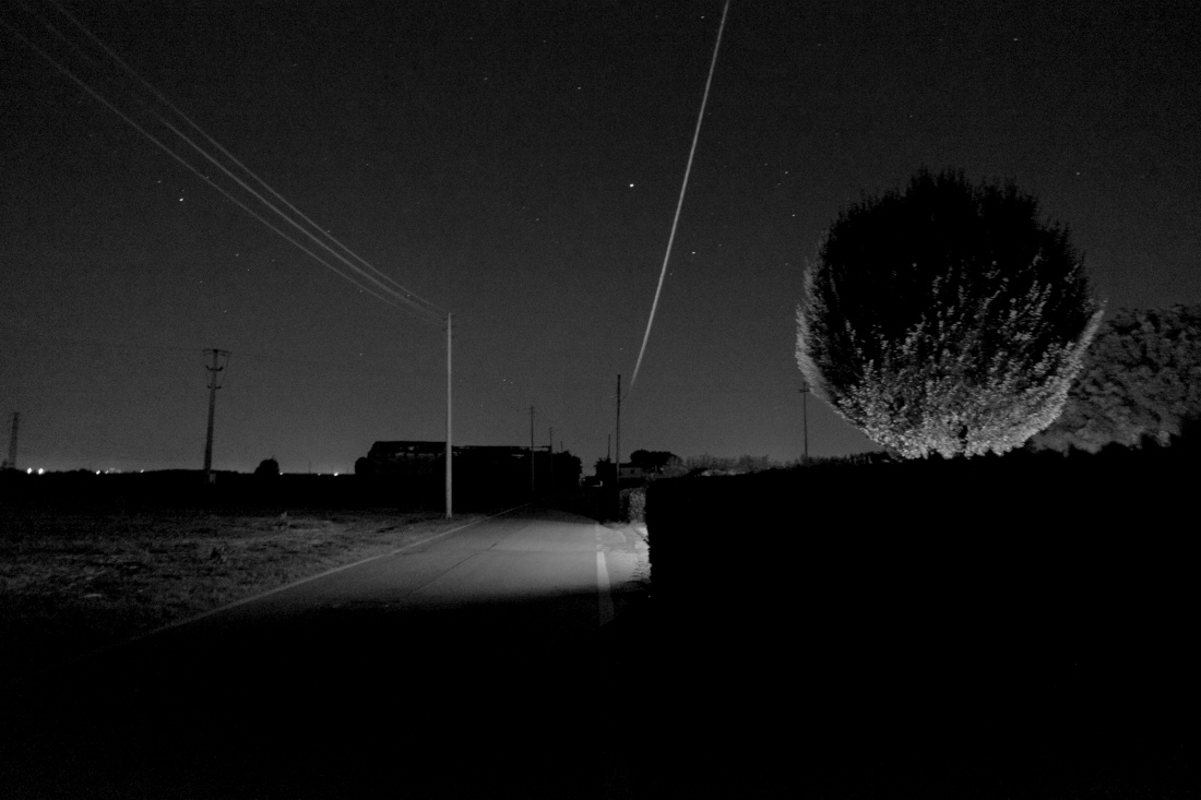 countryside in dim light