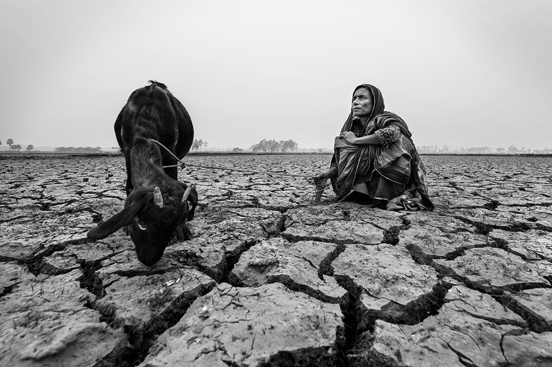 Tears of soil