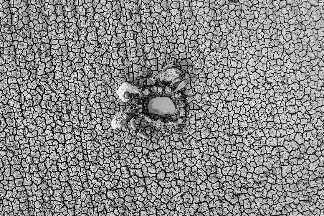 Tears of soil