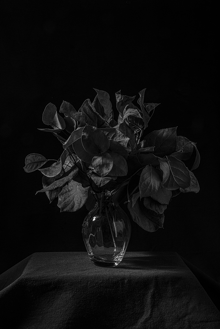 Beauty in Doubt