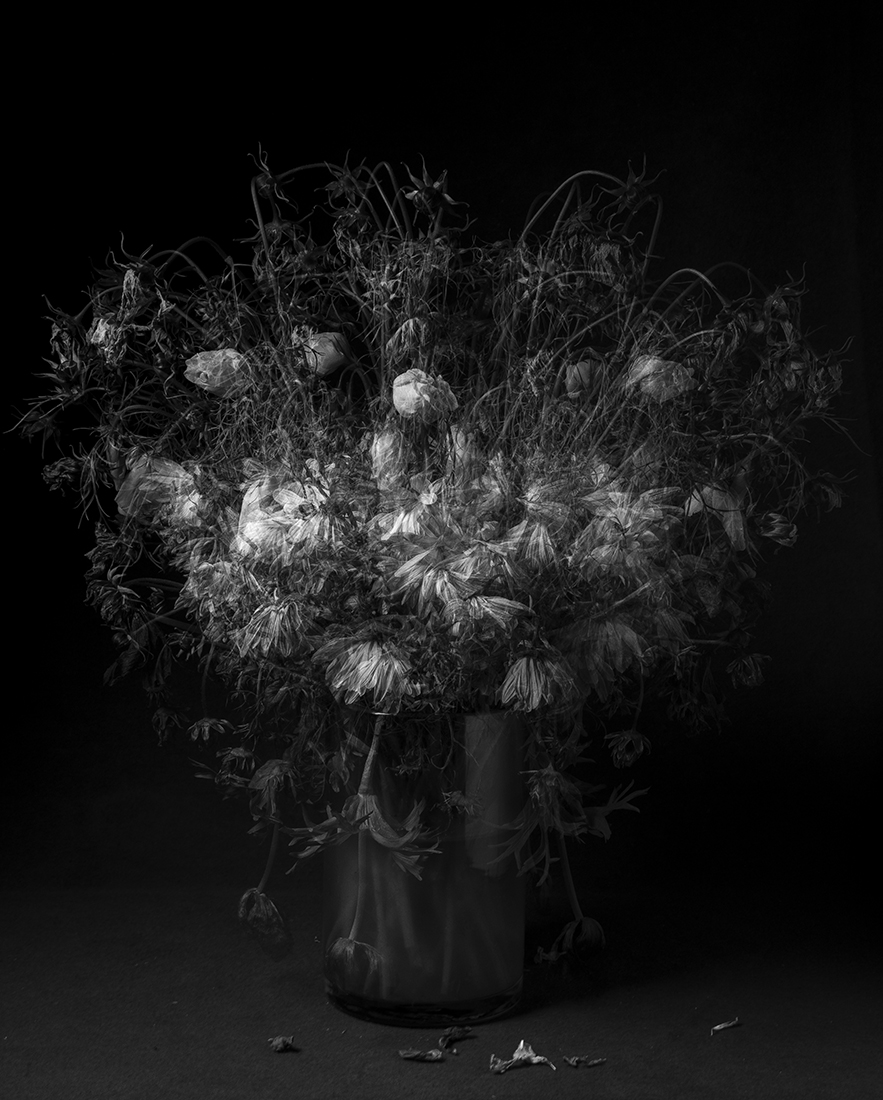Beauty in Doubt