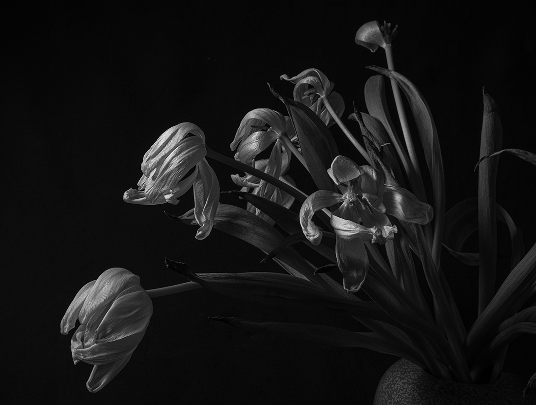 Beauty in Doubt