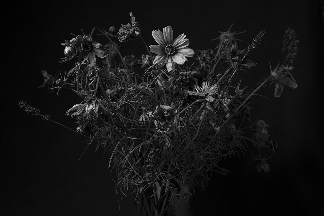Beauty in Doubt