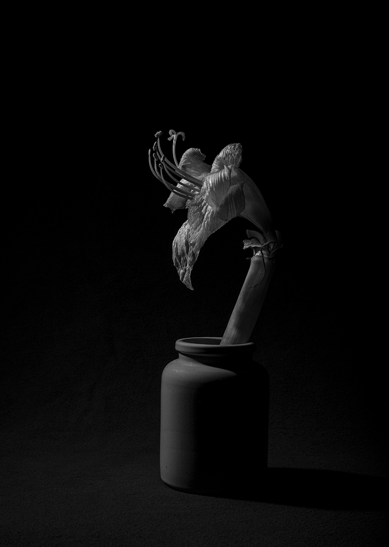 Beauty in Doubt
