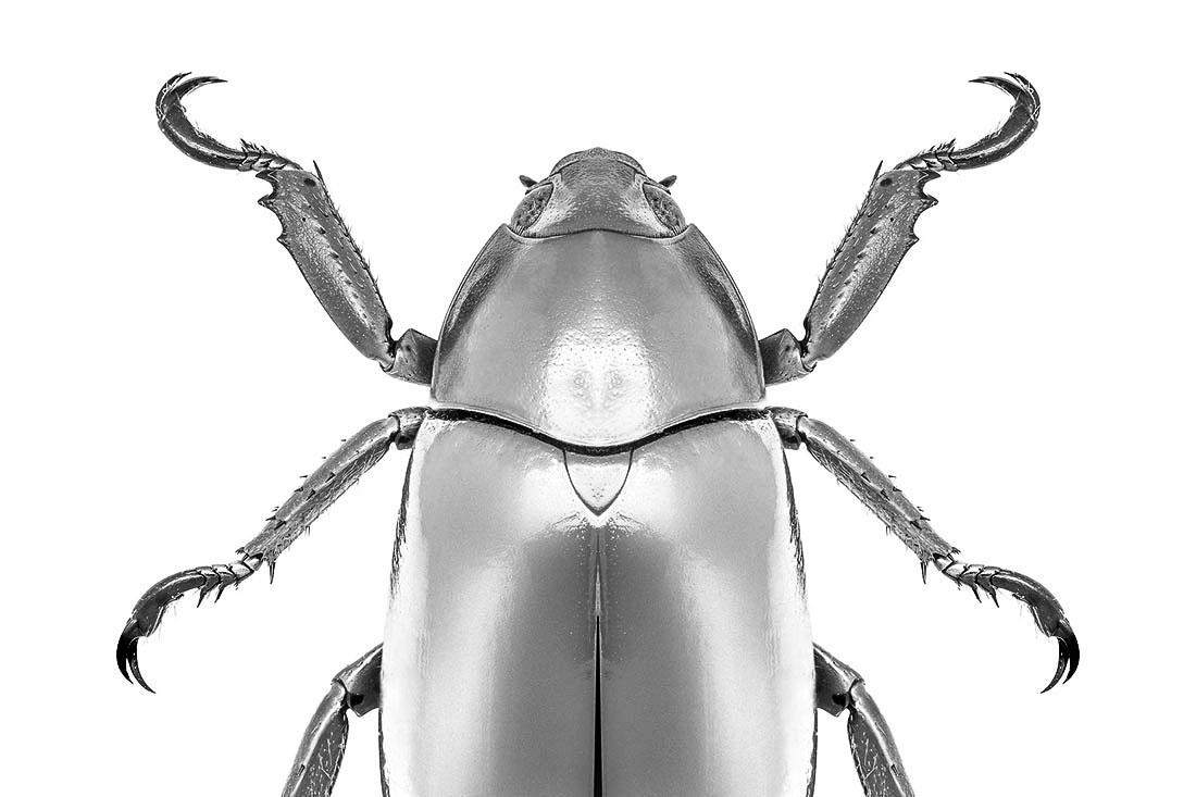 Hexapods