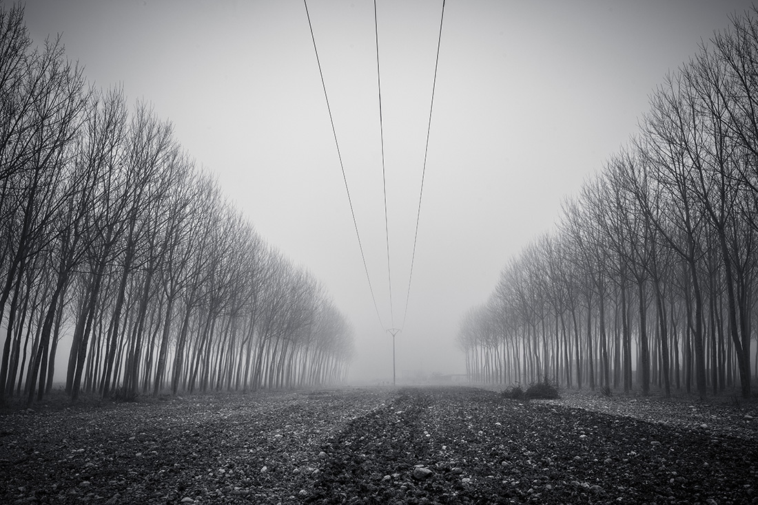 Lines