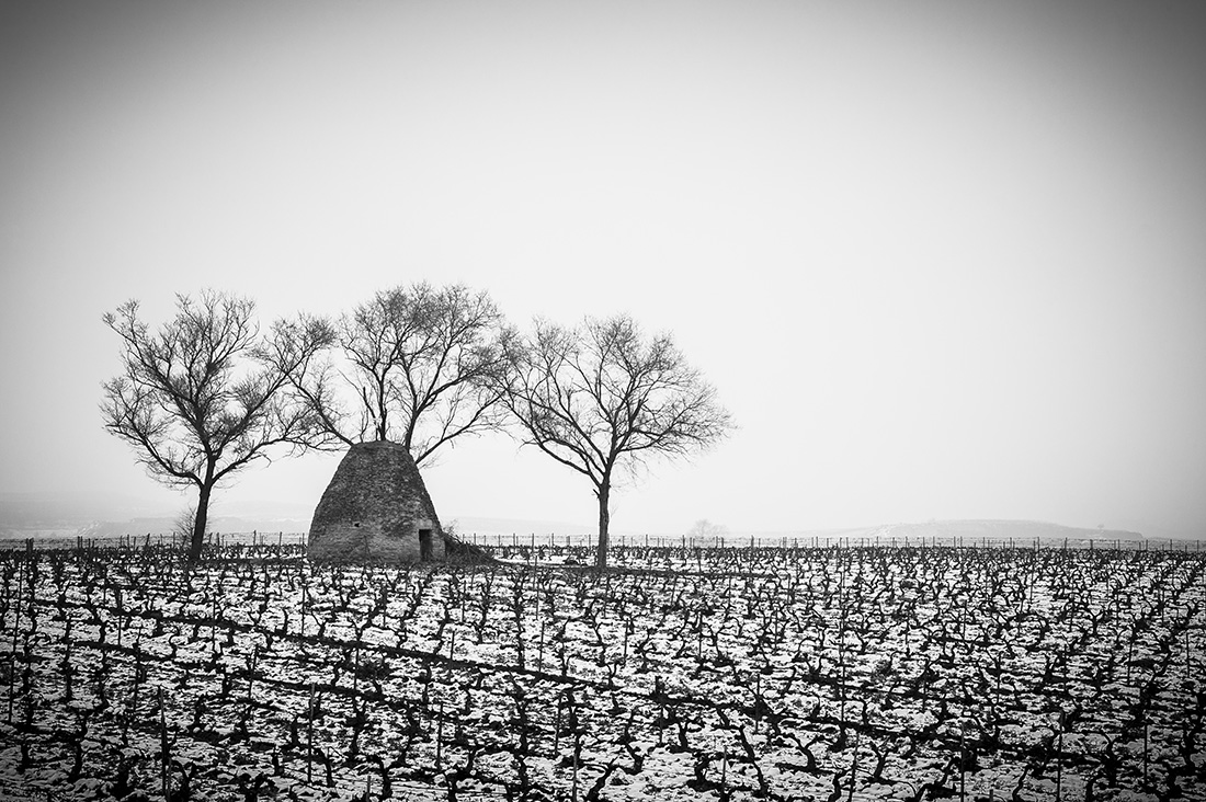 Vineyard guard hut