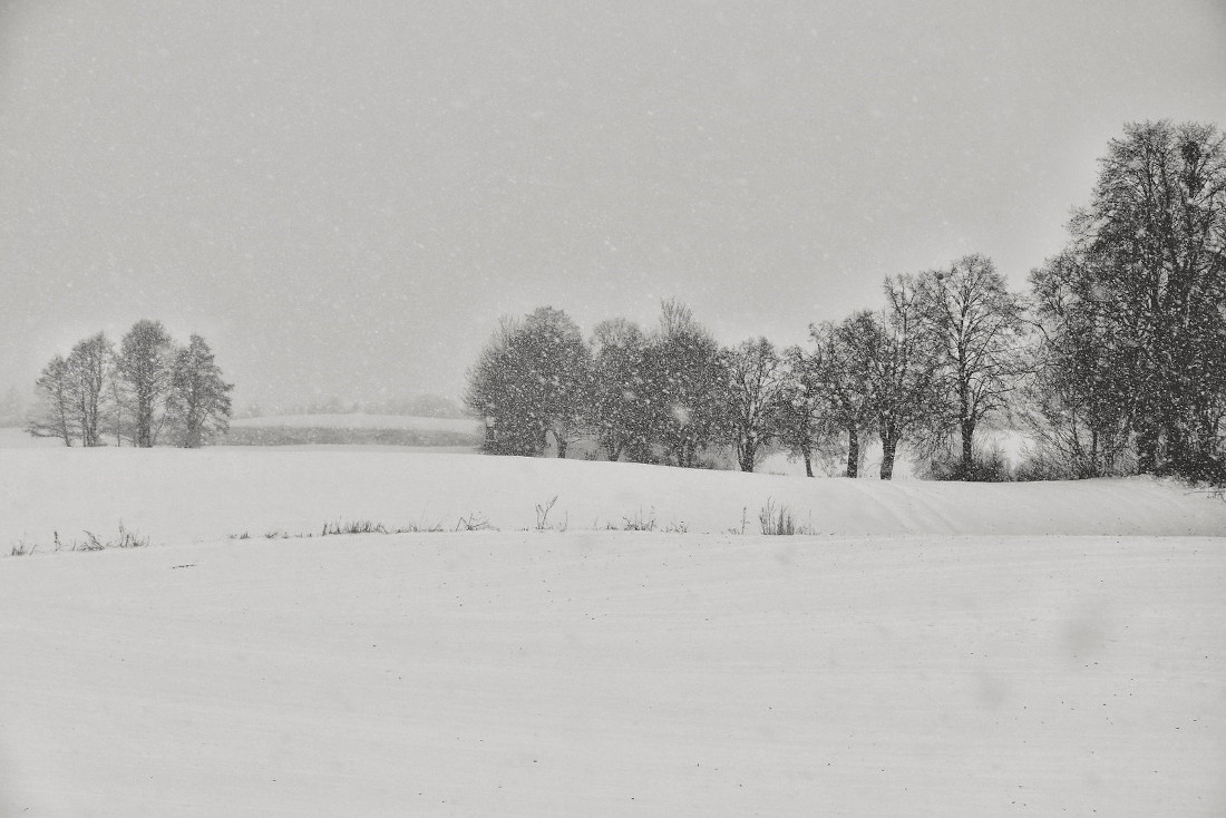 morning snow