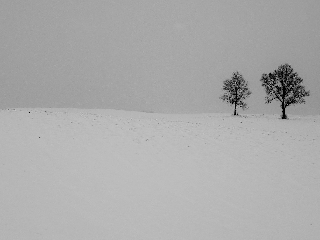 morning snow
