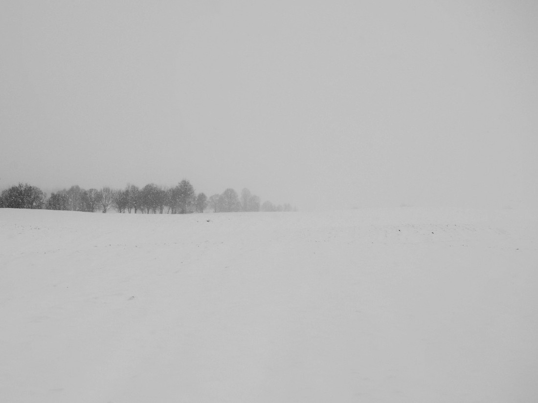 morning snow