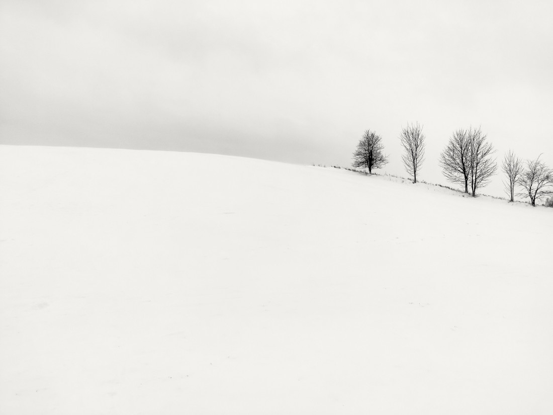 morning snow
