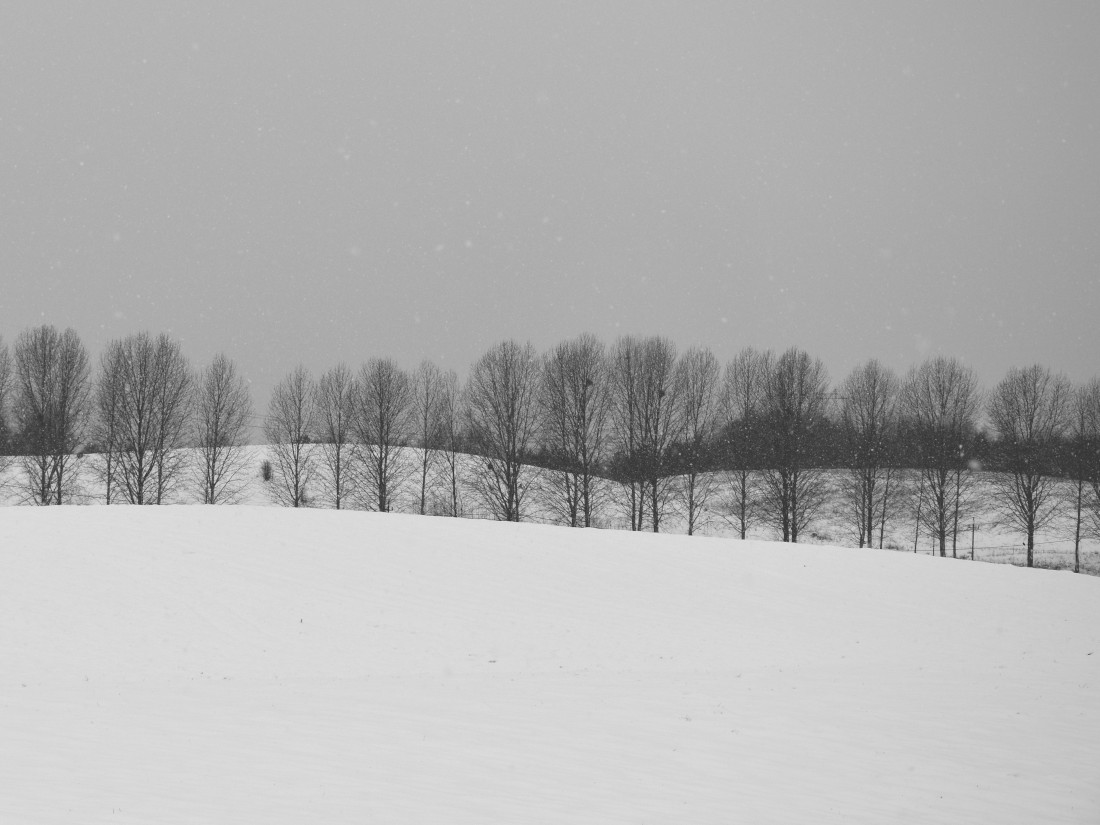 morning snow
