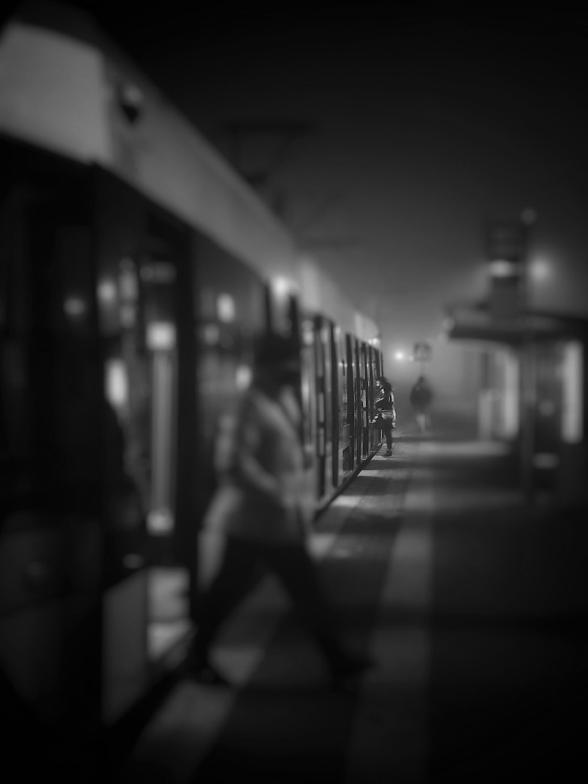 fog in the city