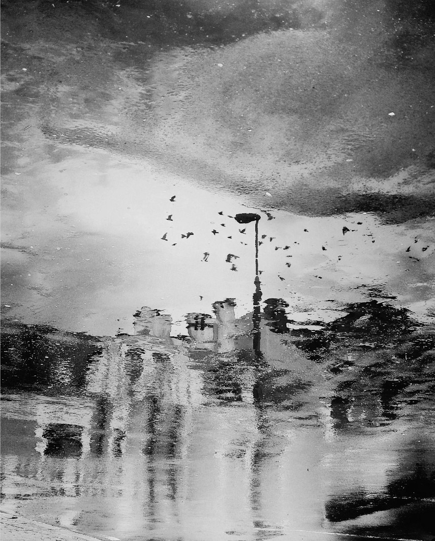 town ​​in the puddle