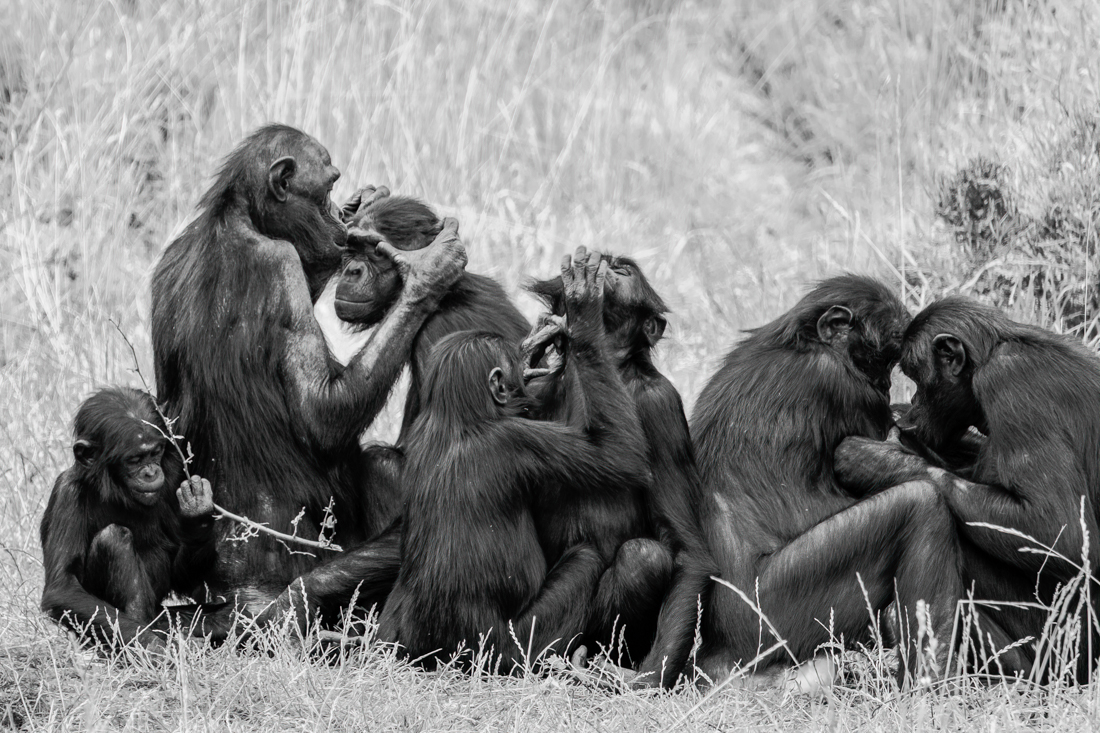 Family - Taking care