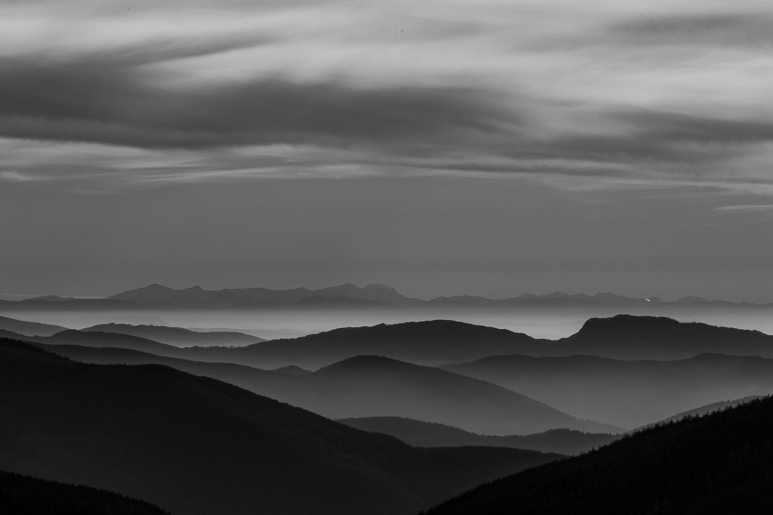 Landscapes