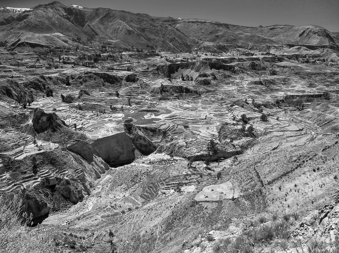 Landscapes