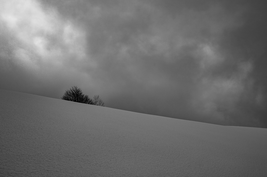 Landscapes