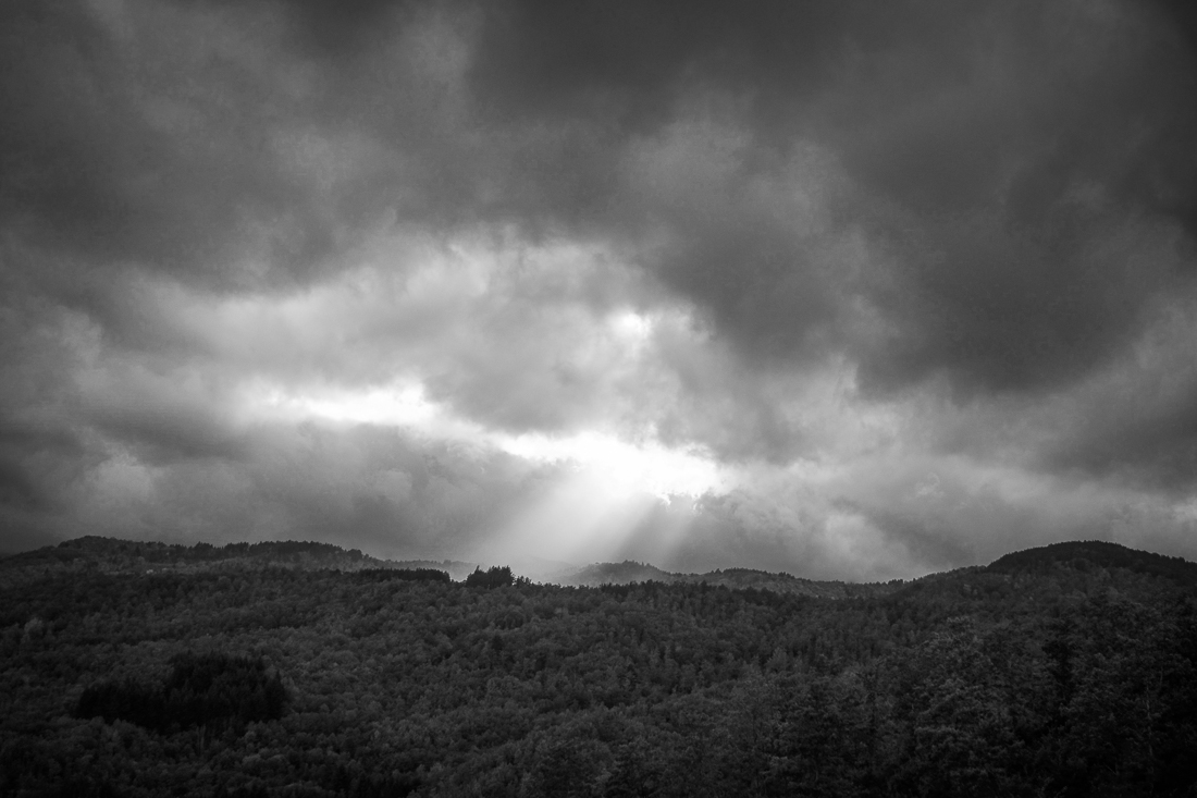 Sunbeams